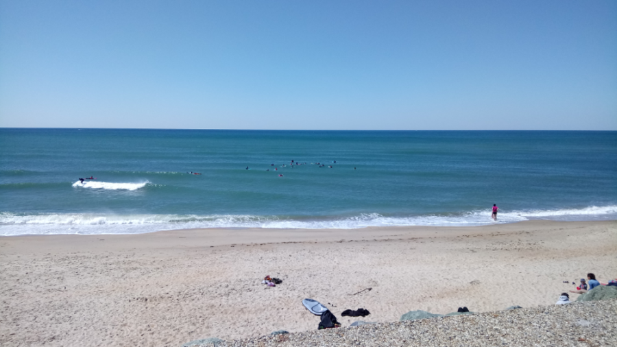 surfing-3.png
